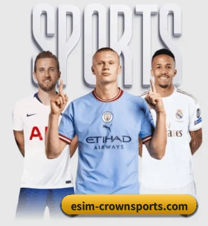 我们在做什么(CROWN SPORTS)