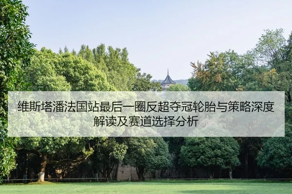 维斯塔潘法国站最后一圈反超夺冠轮胎与策略深度解读及赛道选择分析